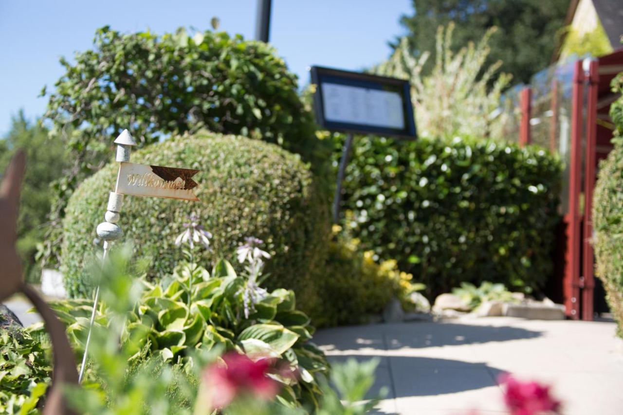 Hôtel La Brasserie Treignac Esterno foto